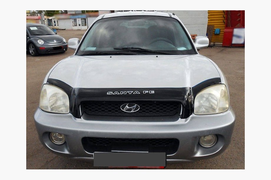 Hyundai Santa Fe 1 2000–2006 Motorkapdeflector (VIP) Image