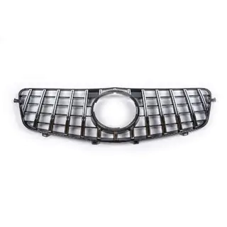 Radiateurgrille GT Panamericana (2009-2012) foto 2