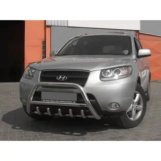 RVS bullbar WT003 foto 3