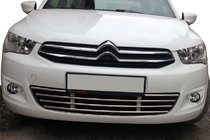 Citroen C-Elysee 2013–2022 Bumperrooster (RVS) foto 1