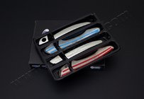 Citroen C-4 Picasso 2013–2022 OmsaLine deurgreep covers (set van 4, RVS) foto 2
