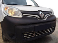 Renault Kangoo 2008–2020 Eendelige bumpergrille (RVS) foto 1