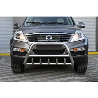 Bullbar WT003 (RVS)