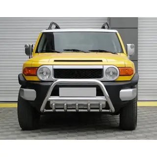 Bullbar WT003 (RVS)