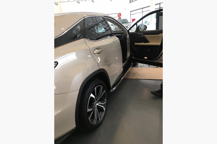 Lexus RX 2016–2022 Zijsteps BlackLine (2 stuks) Image
