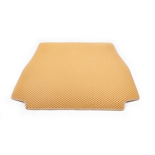 Kofferbakmat (EVA, beige) BMW X5 E53 1999–2006 foto 1