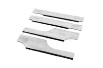 Citroen Nemo 2007–2017 Carmos instaplijsten (4 stuks, RVS) foto 1