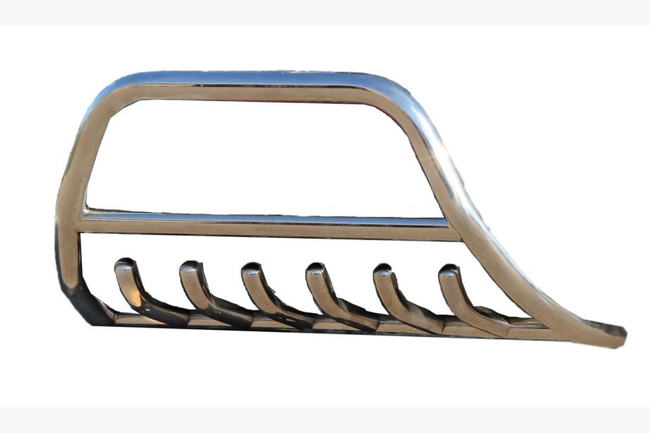 Renault Scenic/Grand 2003–2009 Bullbar WT003 (RVS) Foto 5