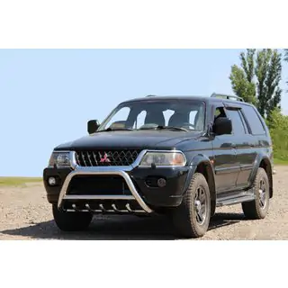 Bullbar WT003 (RVS)