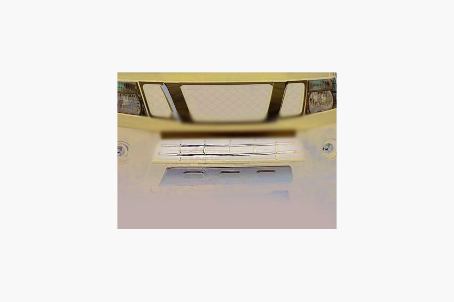 Nissan Navara 2006–2015 Bumperrooster (RVS) Image