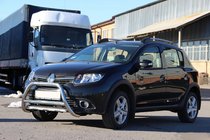 Renault Sandero 2013–2022 Voorste bullbar WT006 (RVS) foto 4