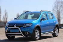 Renault Sandero 2013–2022 Voorste bullbar WT006 (RVS) foto 1