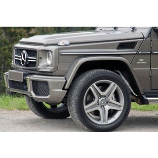 Wielkastverbreders voor AMG (4 stuks, ABS)