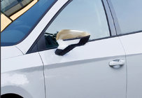 Seat Leon 2013–2020 RVS spiegelkappen (set van 2) foto 3