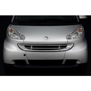 Voorgrillebeschermer Smart 2007–2014 foto 1