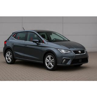 Raamomlijsting (4-delig, RVS) Seat Ibiza 2017– foto 1