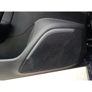 Interieur luidsprekerroosters (2 st., RVS)