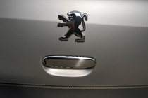 Peugeot 307 2001–2008 Chroomkap voor achterklephandgreep (RVS) foto 1