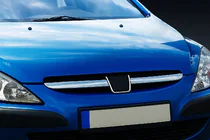 Peugeot 307 2001–2008 Grille sierlijsten (2001-2005, 2 stuks, RVS) foto 1