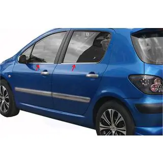 Buitenste raamlijstenset (4-delig, RVS) Peugeot 307 2001–2008 foto 1