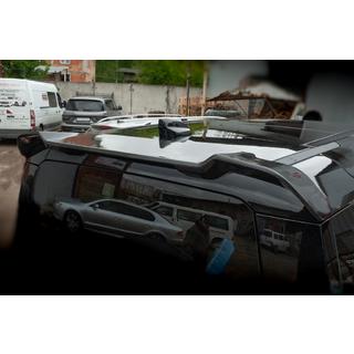 Carbon spoiler foto 2