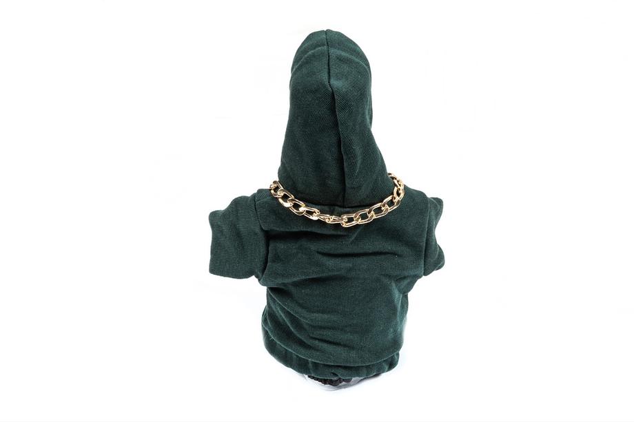 Versnellingspookhoes hoodie (groen, oranje trekkoord) Foto 4