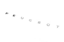 Peugeot Partner/Rifter 2019– Peugeot opschrift (630 x 25 mm) foto 2