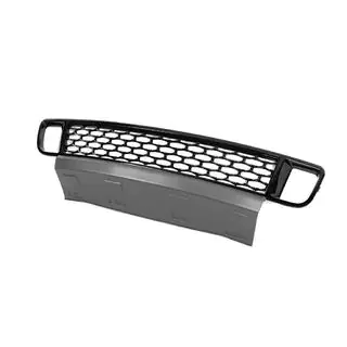 Ondergrille in Autobiography-stijl, type-2 (2010-2013) Range Rover III L322 2002–2012 foto 2