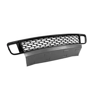 Ondergrille in Autobiography-stijl, type-2 (2010-2013) Range Rover III L322 2002–2012 foto 3