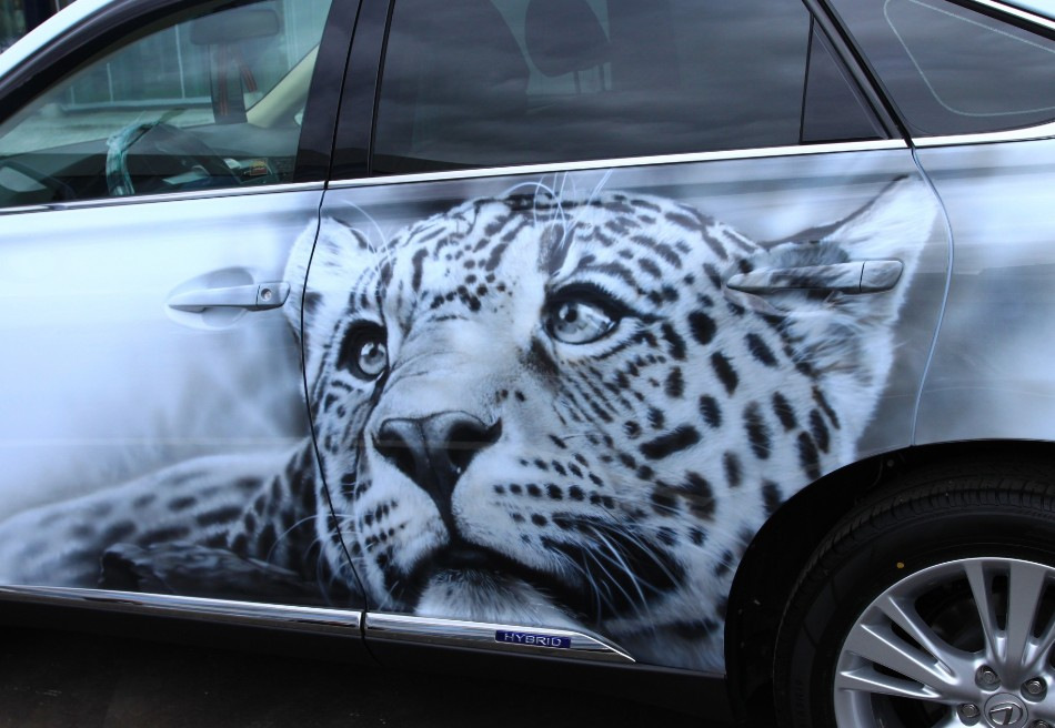 Airbrush als vorm van autotuning
