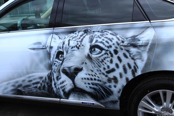 Airbrush als vorm van autotuning