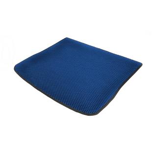 Kofferbakmat (EVA, blauw) foto 2