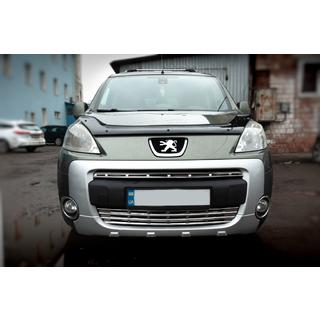 Roosterlijsten (set 2-delig, RVS) Peugeot Partner Tepee 2008–2018 foto 1