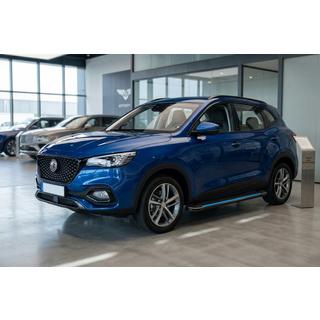 Maya Blue zijtreden (2 stuks, aluminium) MG HS 2018– foto 1