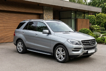 Mercedes GLE/ML-klasse W166 2011–2018 Side steps Shining V1 (2 st., aluminium) foto 1