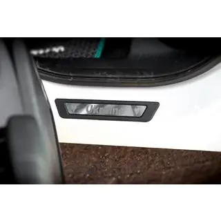 Instaplijsten voor Honda eNP1 (Oekraïne, 4 stuks, roestvrij staal) foto 3
