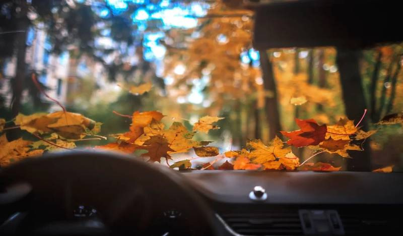 Zo maak je je auto klaar voor de herfst