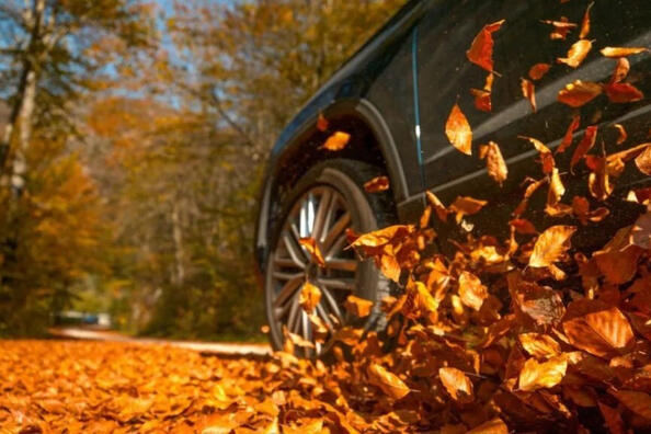 Vijf fouten die in de herfst tot een ongeluk kunnen leiden Foto 1