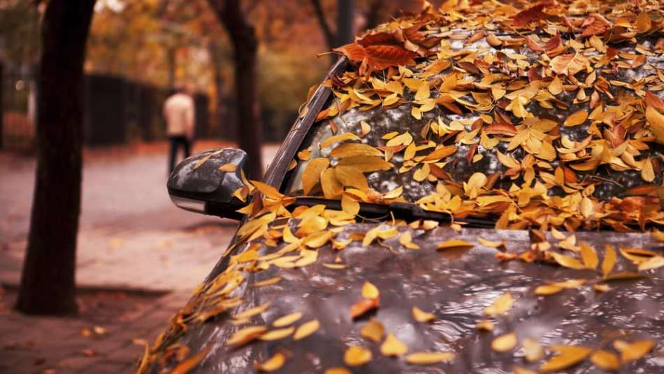 Zo onderhoud je je auto in de herfst