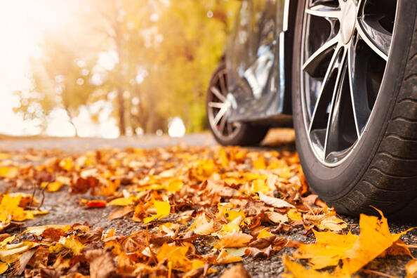 Welke banden zijn het meest geschikt voor de herfst?