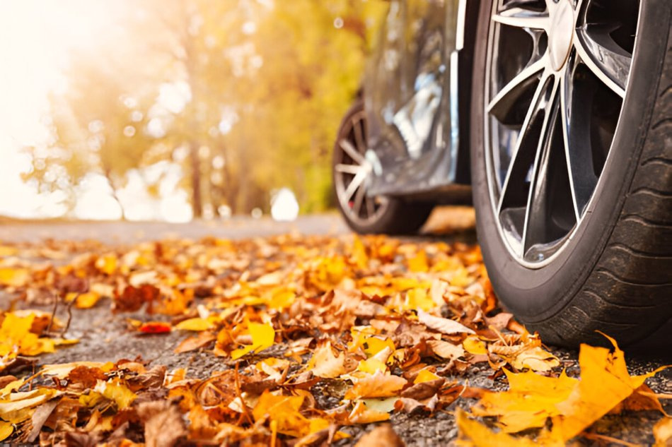 Welke banden zijn het meest geschikt voor de herfst?