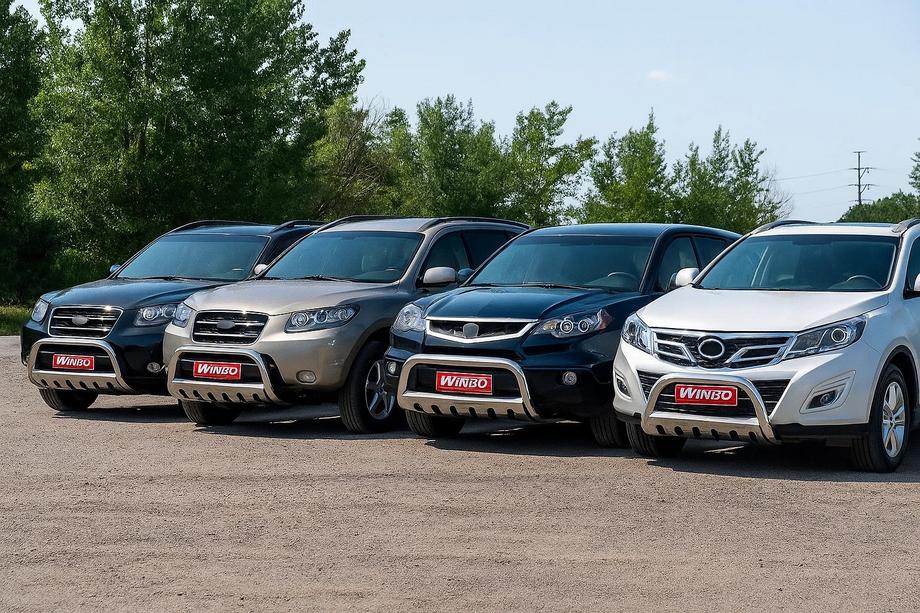 Universele bullbar Winbo (RVS) Image