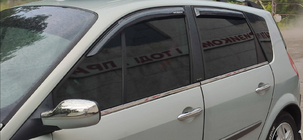 Renault Scenic/Grand 2003–2009 Raamomlijsting (4 stuks, RVS) foto 4
