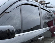 Renault Scenic/Grand 2003–2009 Raamomlijsting (4 stuks, RVS) foto 1