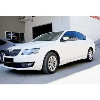 DPT sideskirts (voor lakken) foto 2