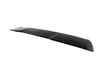Audi A4 B8 2007–2015 Spoiler DPT (2012-2015, spuitklaar) foto 2