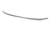 Ford Courier 2023– Chrome beschermstrip voor voorbumper (1 st., RVS) foto 2