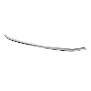 Chrome beschermstrip voor voorbumper (1 st., RVS) Ford Courier 2023– foto 2