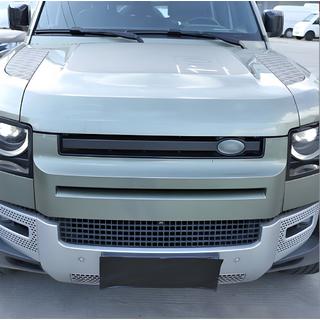 Grille insert