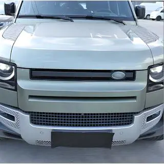 Grille insert
